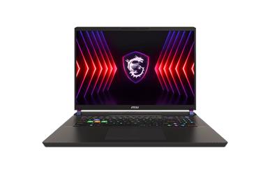 Vector 17.3&quot;QHD&lt;br&gt;i9-14900HX 32GB DDR5&lt;br&gt;1.0TB Solid State Drive&lt;br&gt;GeForce RTX4080 12GB&lt;br&gt;Windows 11 Home
