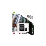 Canvas Select Plus&lt;br&gt;256GB Class 
