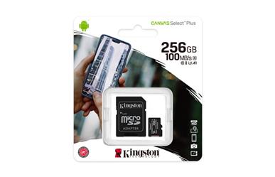 Canvas Select Plus&lt;br&gt;256GB Class 10 UHS-I Flash
