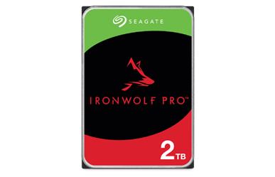 IronWolf Pro 2TB