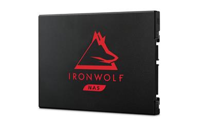 IronWolf 125 SSD 4TB