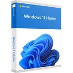Windows 11 Home ESD